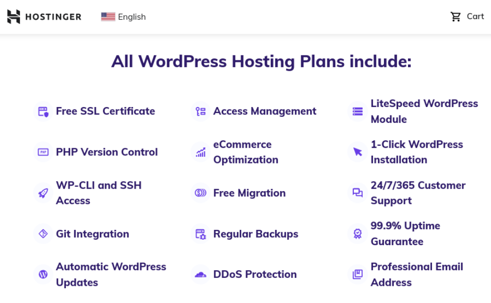 A glimpse of what Hostinger WordPress hosting plans have to offer, from free SSL certificate to professional email address