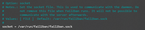 An excerpt from the fail2ban.local config file talking about the socket option
