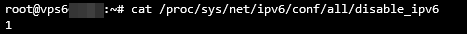 Terminal showing the current IPv6 status