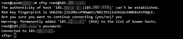 使用 SFTP 連接時的終端輸出