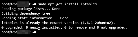 安裝 iptables 時的終端輸出