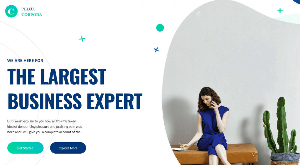 Phlox WordPress theme home page