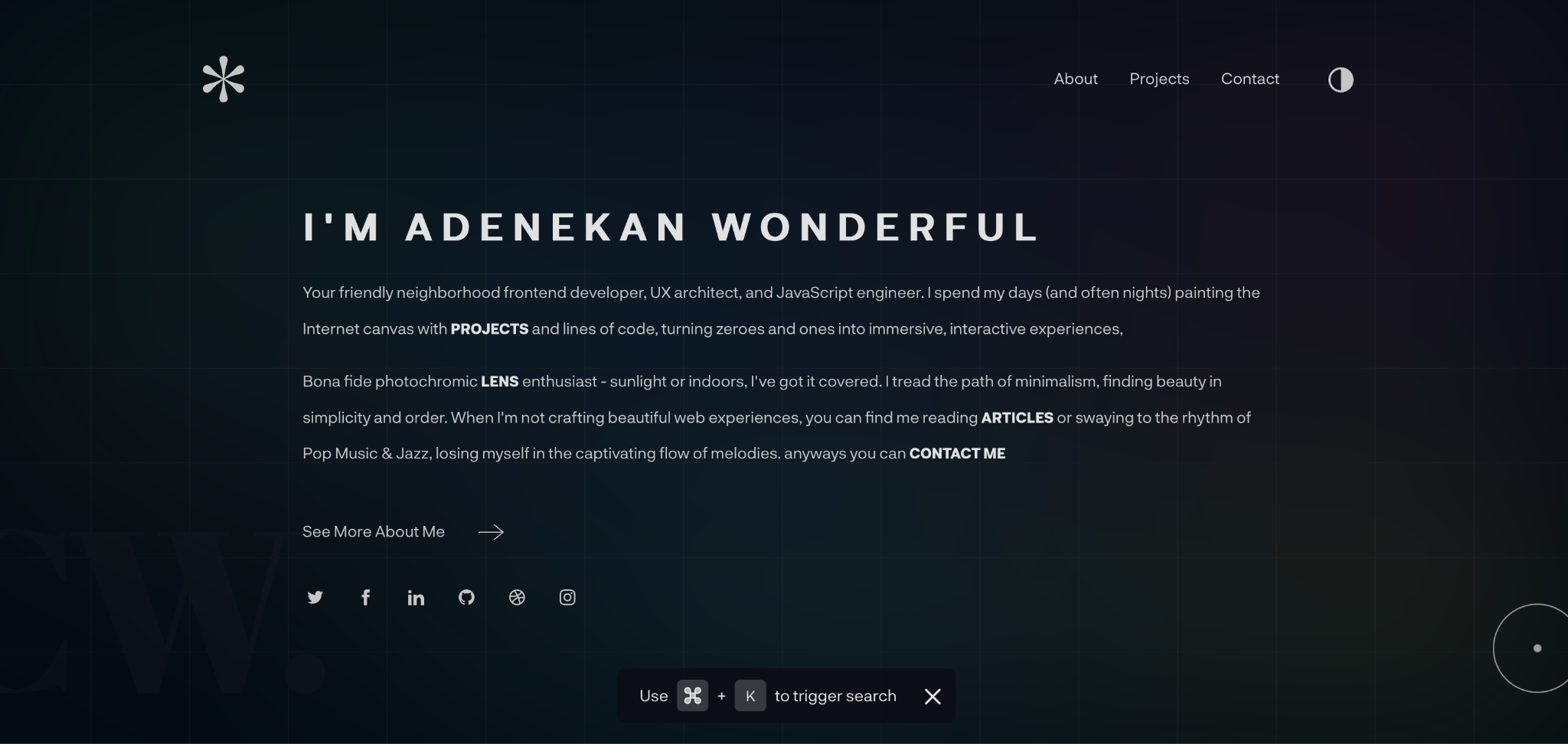 Adenekan Wonderful portfolio page