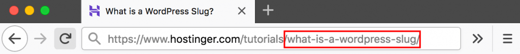 What is WordPress slug