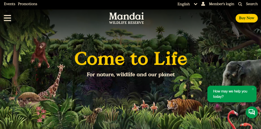 A screenshot of Mandai's website with a dark green, ivory, and yellow color scheme.