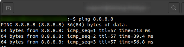 Running the ping command using Terminal on Ubuntu