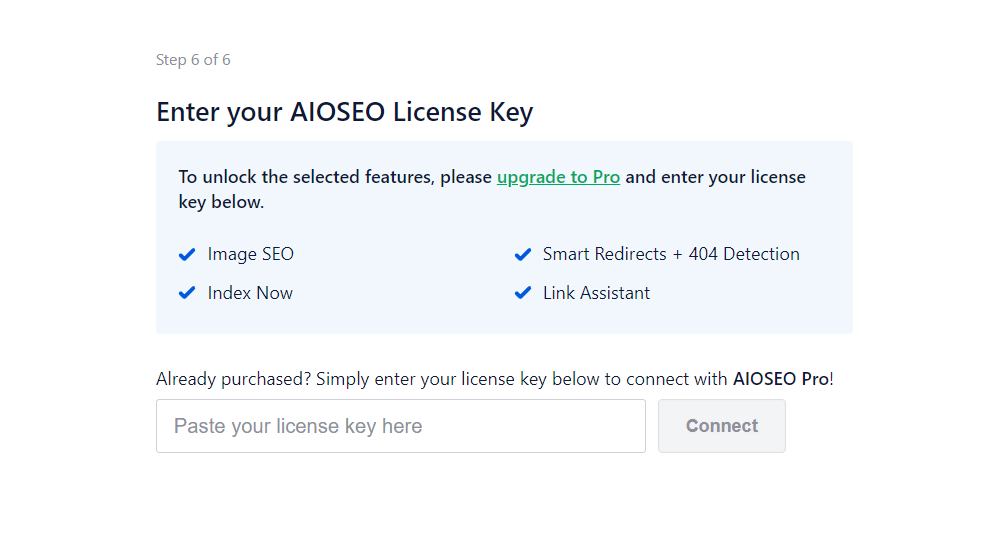 Setup wizard: Enter your AIOSEO License Key