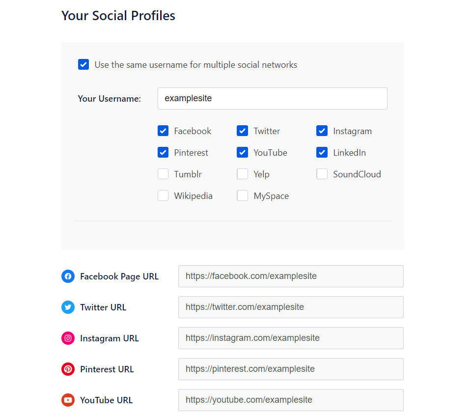 Social Profile section in AIOSEO setup wizard