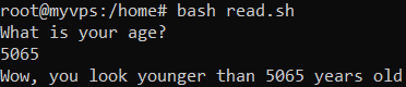 The command-line window shows the bash read command functionality. It is used to read user input and use it as a variable