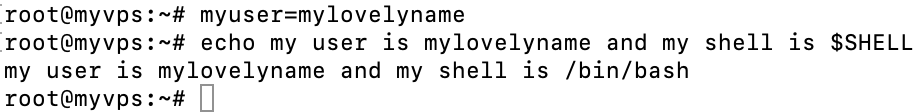 The use of local variables combined with the system-defined variable that displays the SHELL type