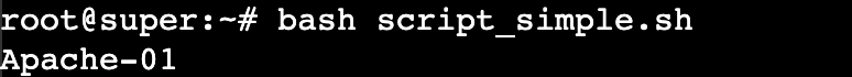 Terminal outputs variable value of a script