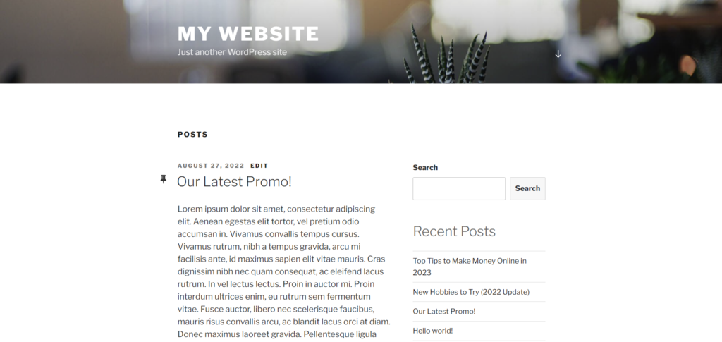 An example of a custom WordPress homepage displaying a single post