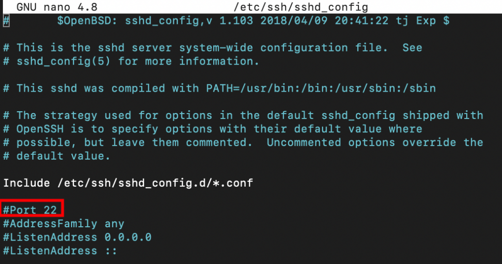 SSH configuration file with Port 22