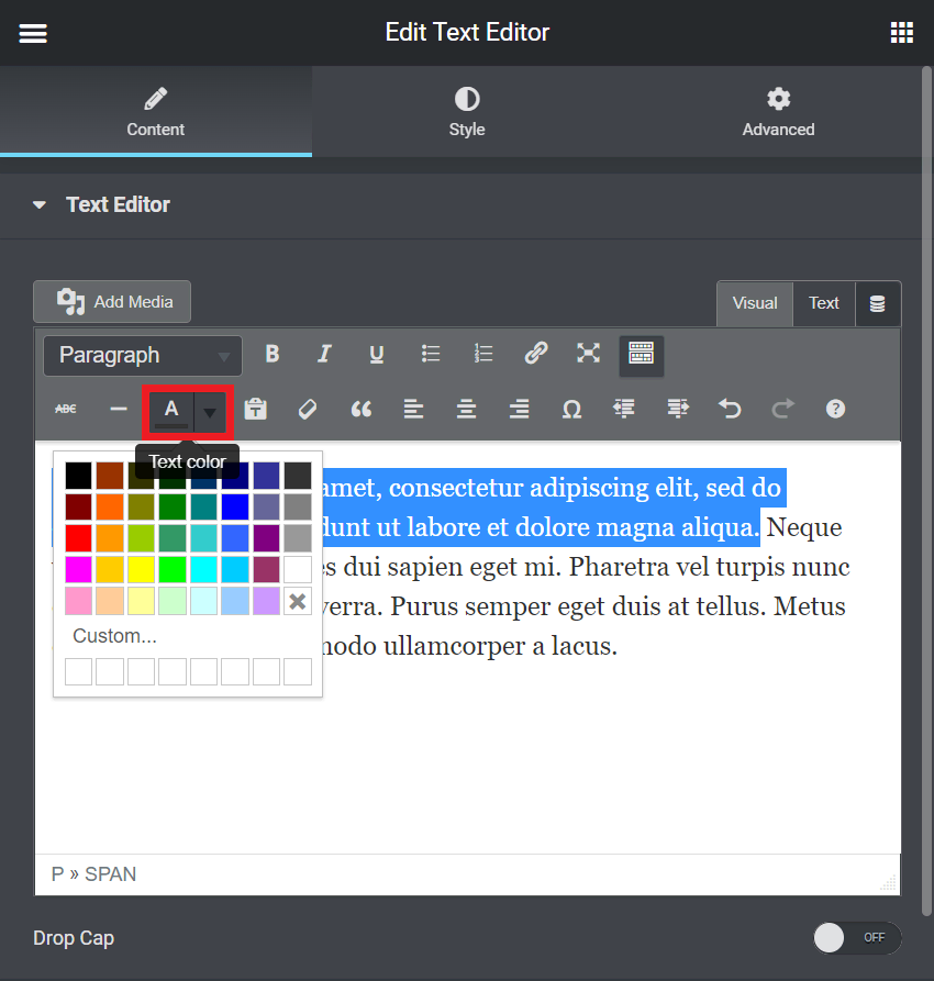 The Edit Text Editor sidebar highlighting the Text color button
