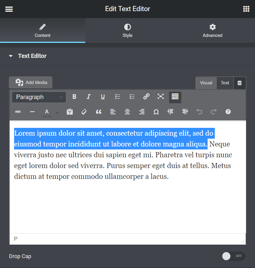 The Edit Text Editor sidebar showing the content of the Text Editor element
