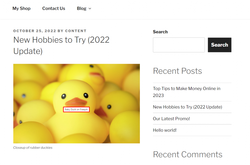 WordPress displays the newly created image title attribute on mouse hover.