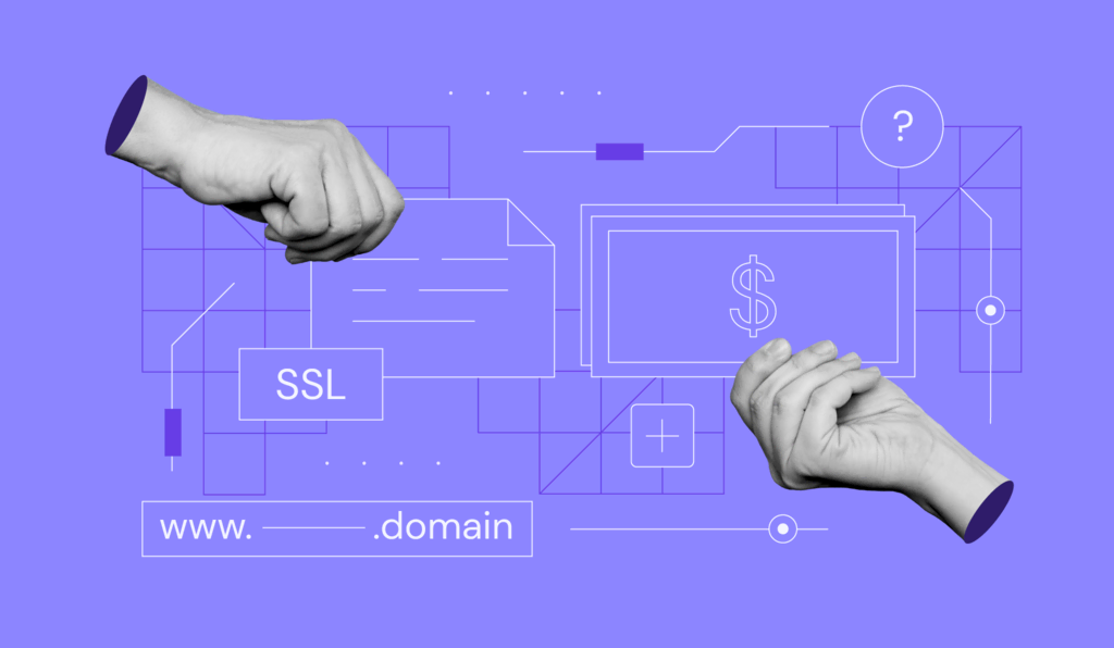 SSL Certificate Cost in 2024: How Much to Spend on an SSL Certificate