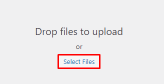 The Upload New Media page on WordPress Dashboard with the Select Files option highlighted
