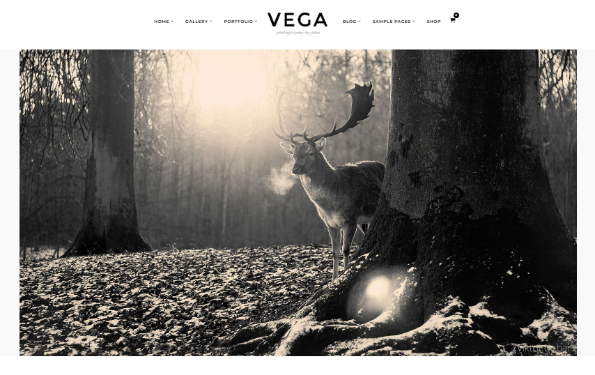Vega WordPress photography theme
