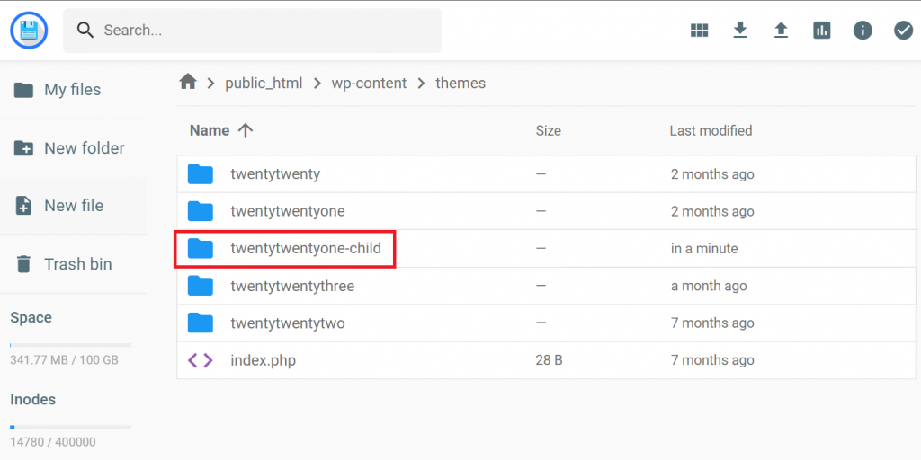 WordPress site themes directory in File Manager