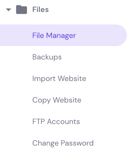 hPanel showing File Manager menu 
