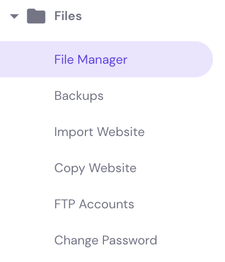The File Manager button on hPanel