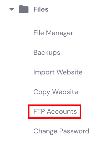 FTP Accounnts menu on hPanel dashboard