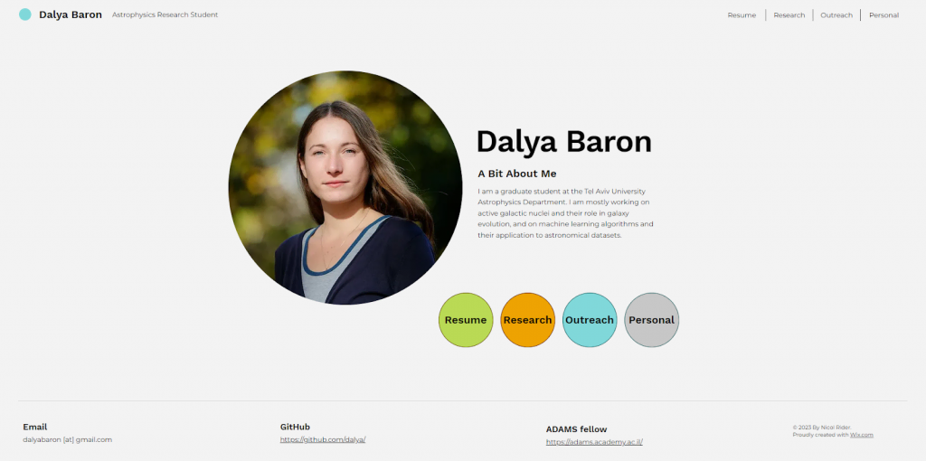 Dayla Baron's portfolio