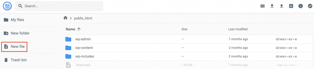 public_html folder, with the New file option highlighted