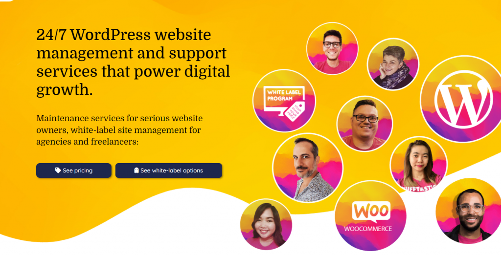 WP Buff’s homepage: 24/7 WordPress Website Management and Support Services That Power Digital Growth