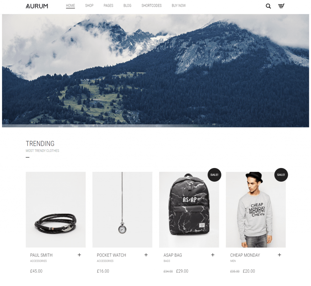 The Aurum theme for minimalist WordPress stores