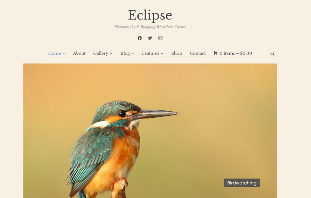 The Eclipse theme's demo site homepage