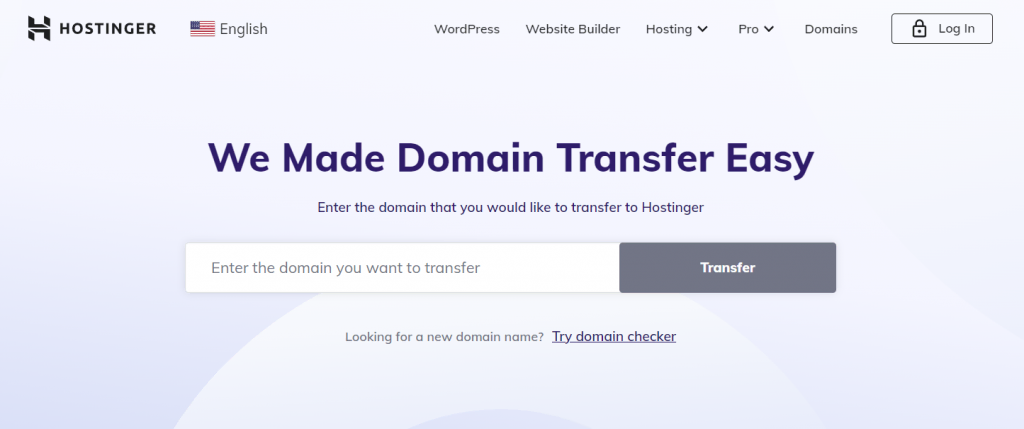 What Is a Domain Name? Understand Domain Basics for 2024
