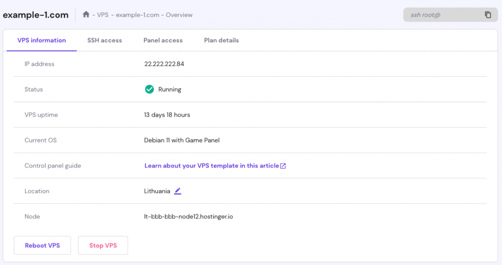 hPanel's VPS overview menu showing your server general information