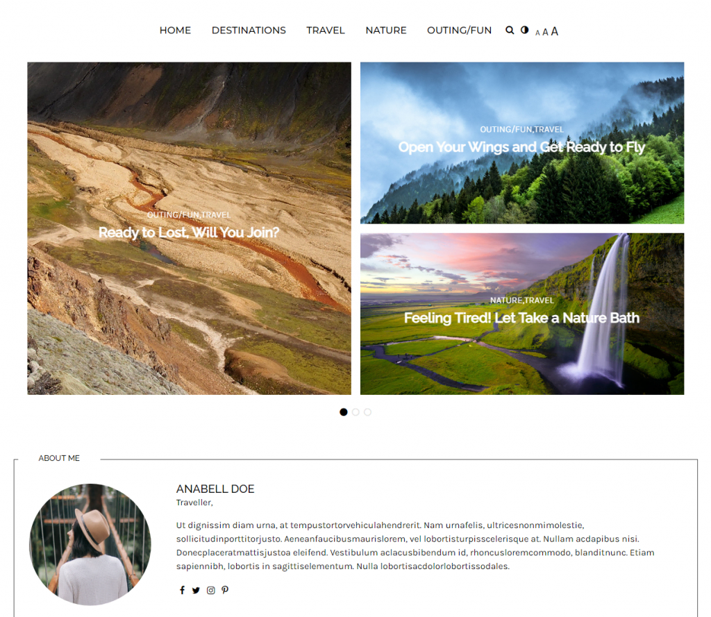 The Writee theme's demo travel site