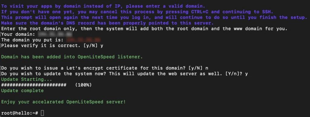 Browser terminal outputs installation prompts and a confirmation message about the successful OpenLiteSpeed installation.