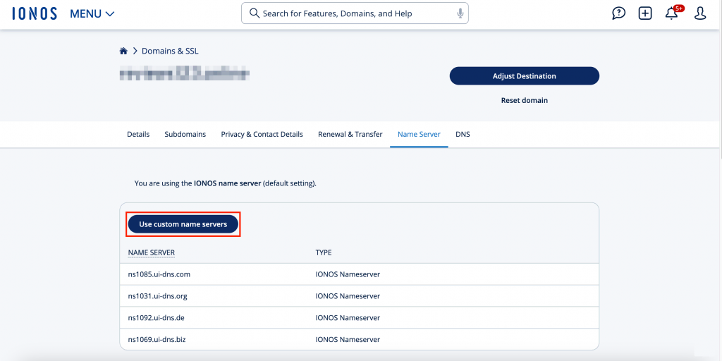 Ionos use custom name servers option