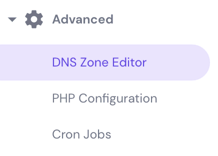 The DNS Zone Editor button on hPanel.