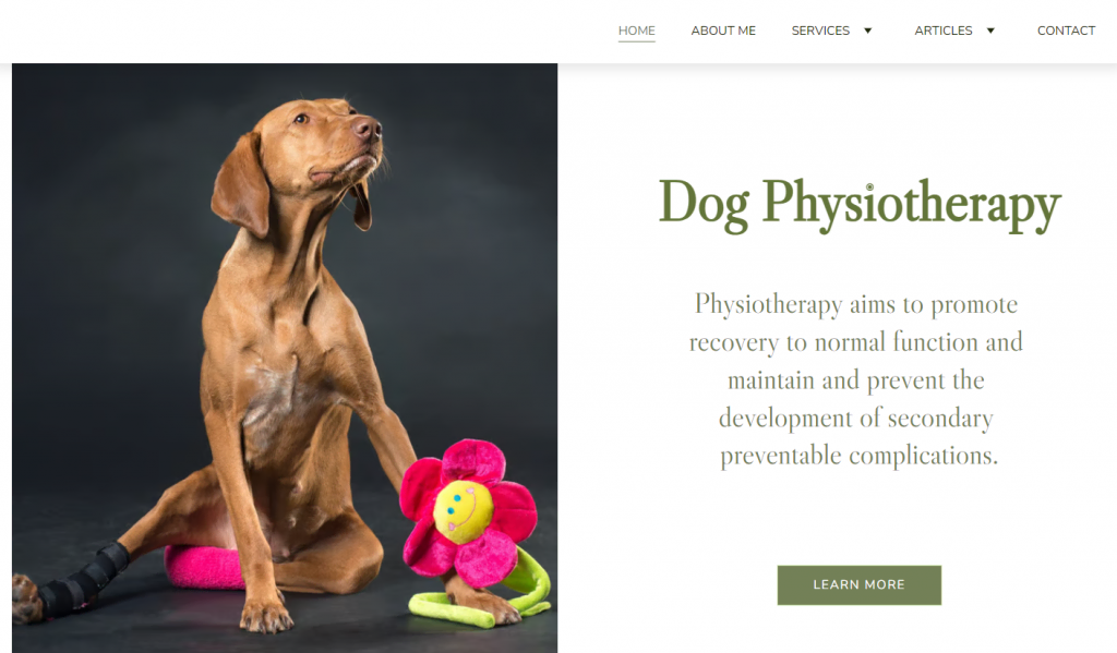 Petra Therapy's homepage