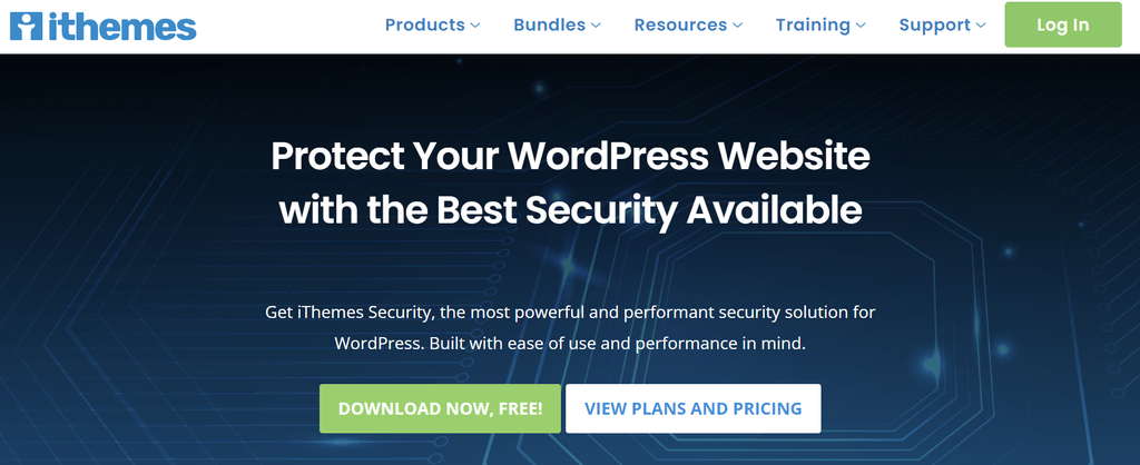 Web Application Firewall for WordPress: How It Protects Your Website