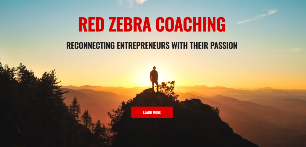 Red Zebra Coaching Website homepage