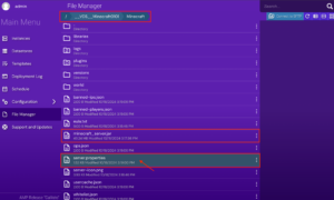 How to configure Minecraft server properties file