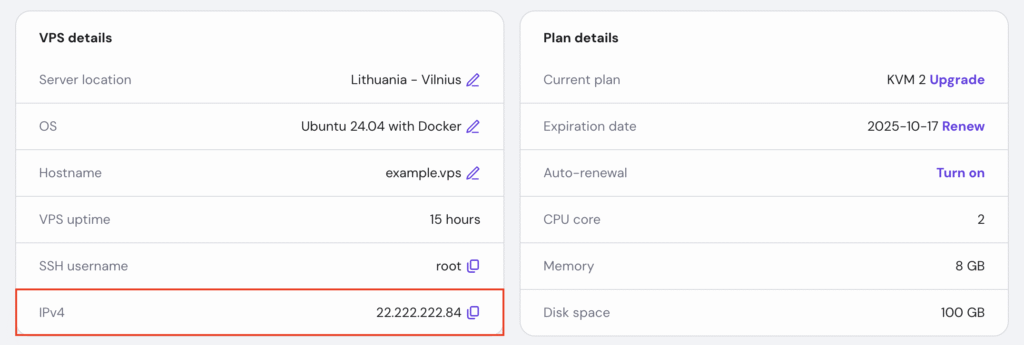 The IPv4 information in hPanel's VPS