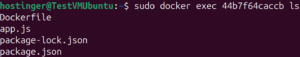 How to use docker exec command