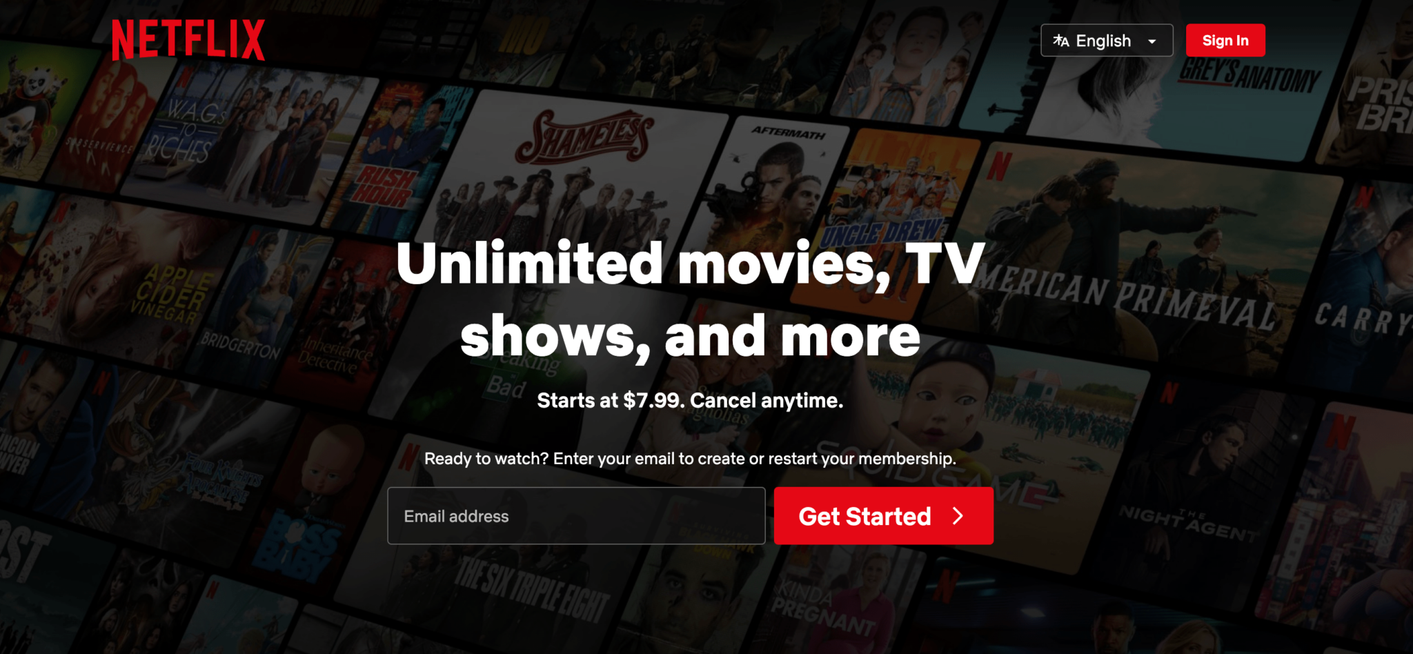 Netflix Example 10 best web application examples