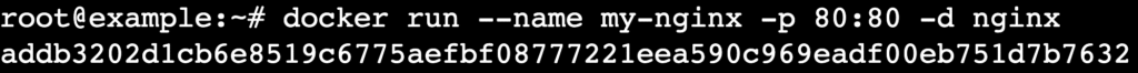 Terminal running docker run with detached mode to start NGINX