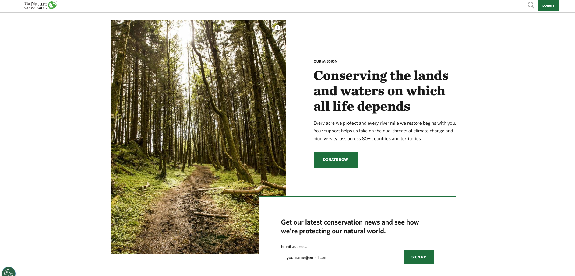 Org Web Beginner’s guide to creating a .org website with Hostinger