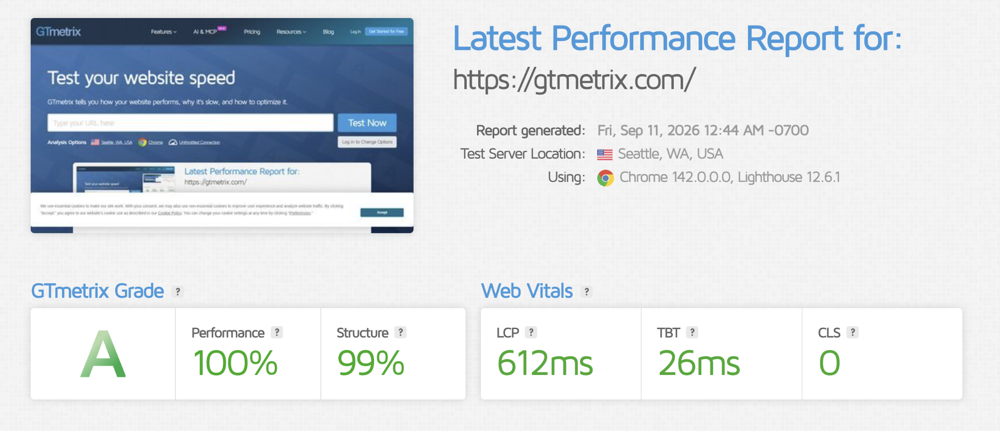 GTmetrix showing the performance report for its site