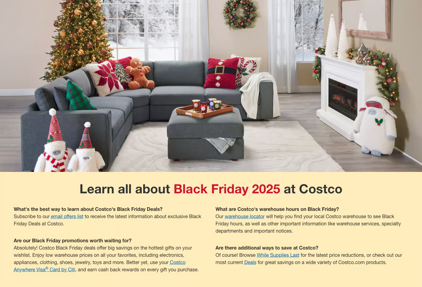 Costco Black Friday landing page