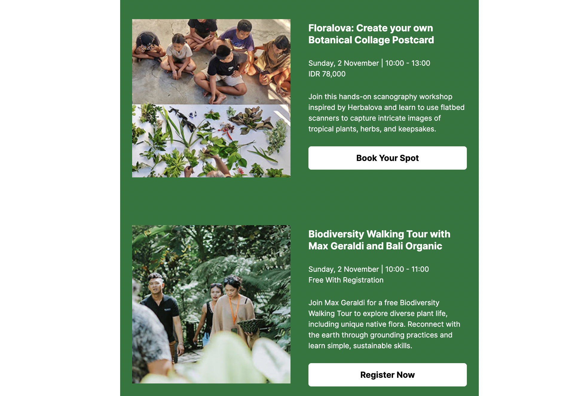 F-shaped pattern example on Ubud Writers & Readers Festival's newsletter